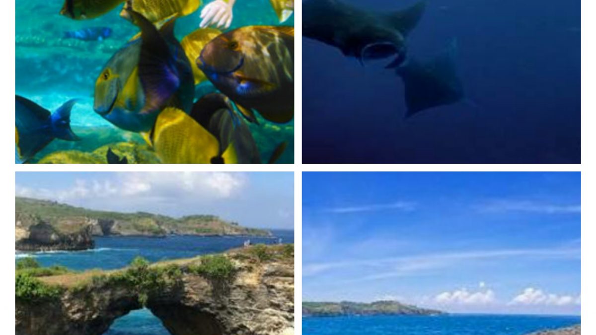 Paket Tour Setengah Hari Snorkeling