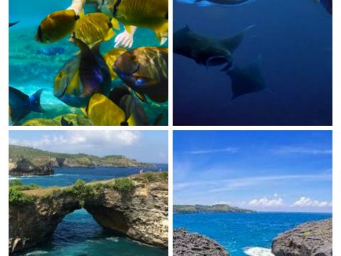Paket Tour Setengah Hari Snorkeling